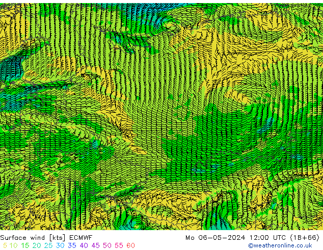 Surface wind ECMWF Mo 06.05.2024 12 UTC