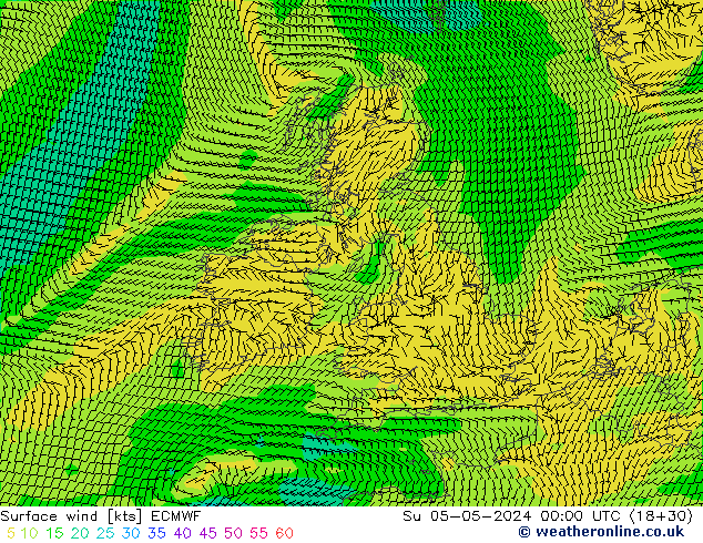 Surface wind ECMWF Su 05.05.2024 00 UTC