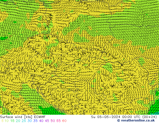  10 m ECMWF  05.05.2024 00 UTC