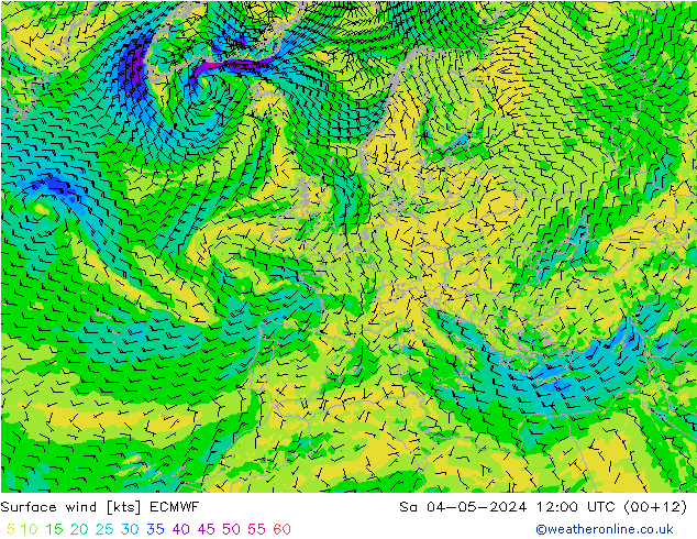 Bodenwind ECMWF Sa 04.05.2024 12 UTC