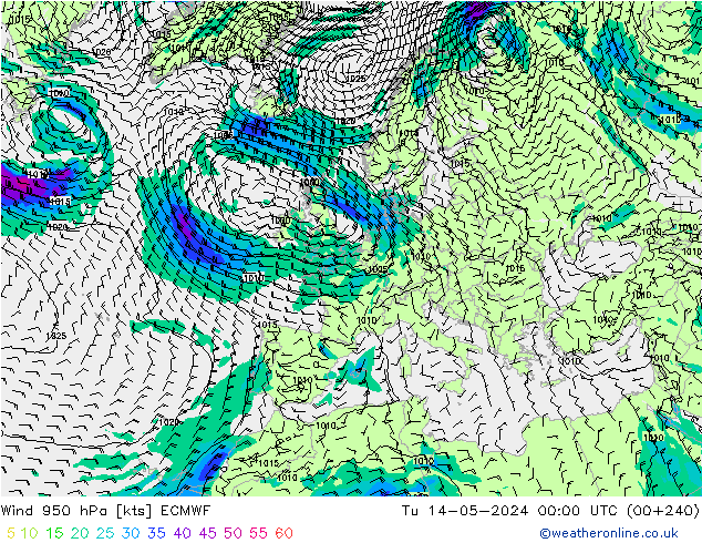 ветер 950 гПа ECMWF вт 14.05.2024 00 UTC