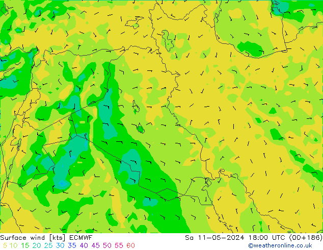 Wind 10 m ECMWF za 11.05.2024 18 UTC