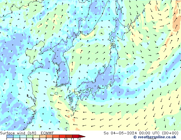 Vento 10 m (bft) ECMWF sab 04.05.2024 00 UTC