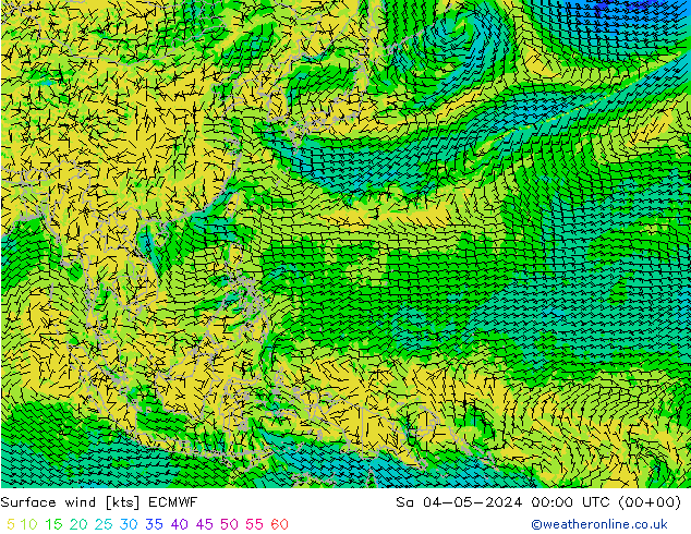 Bodenwind ECMWF Sa 04.05.2024 00 UTC