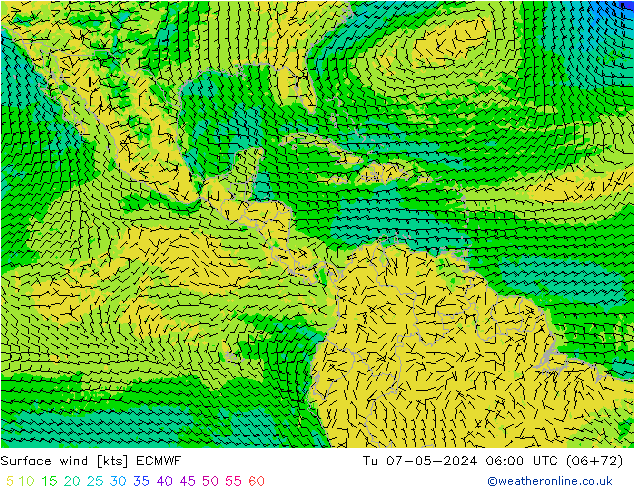 ветер 10 m ECMWF вт 07.05.2024 06 UTC