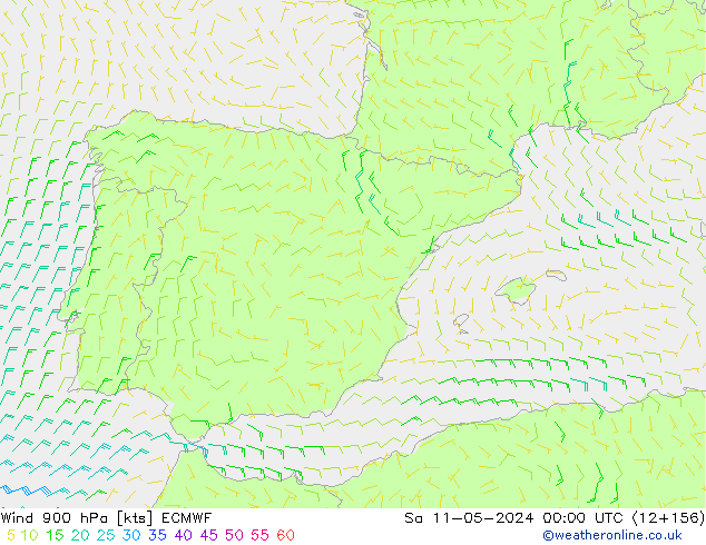 Rüzgar 900 hPa ECMWF Cts 11.05.2024 00 UTC