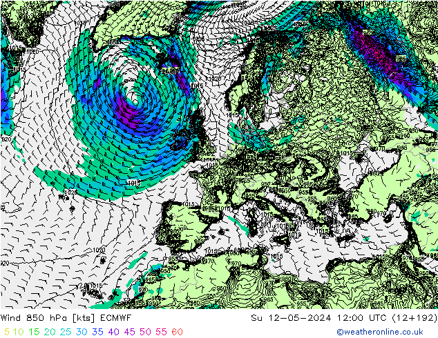 wiatr 850 hPa ECMWF nie. 12.05.2024 12 UTC