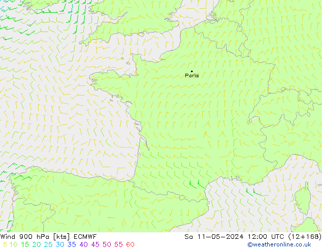 Wind 900 hPa ECMWF Sa 11.05.2024 12 UTC