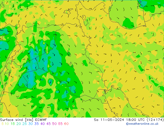 Vent 10 m ECMWF sam 11.05.2024 18 UTC