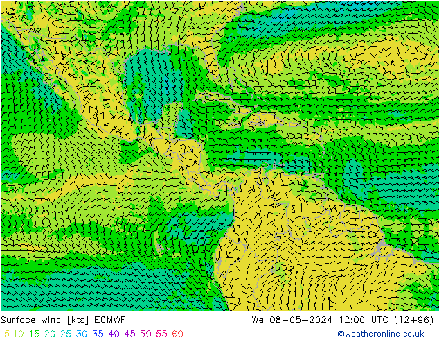 Wind 10 m ECMWF wo 08.05.2024 12 UTC