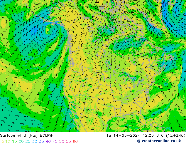 Vent 10 m ECMWF mar 14.05.2024 12 UTC