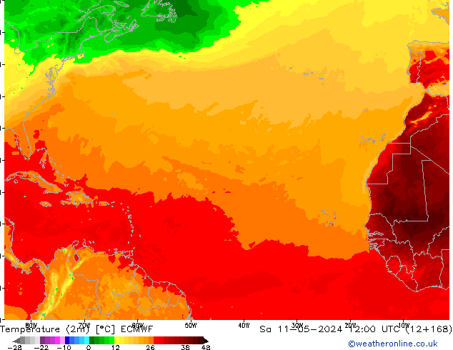mapa temperatury (2m) ECMWF so. 11.05.2024 12 UTC