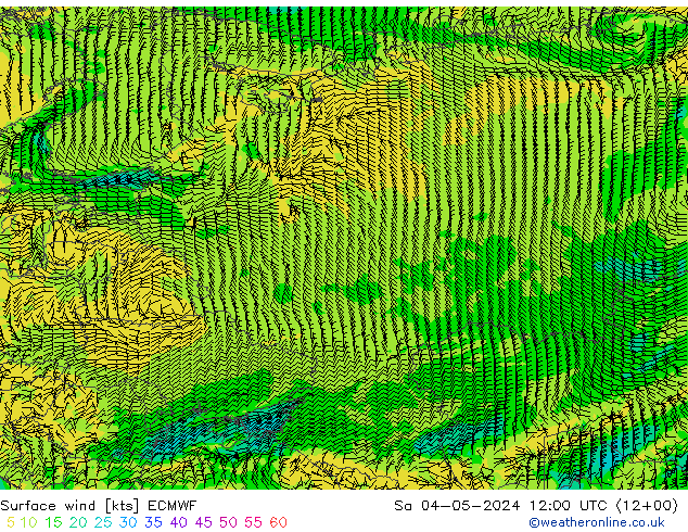 Surface wind ECMWF Sa 04.05.2024 12 UTC