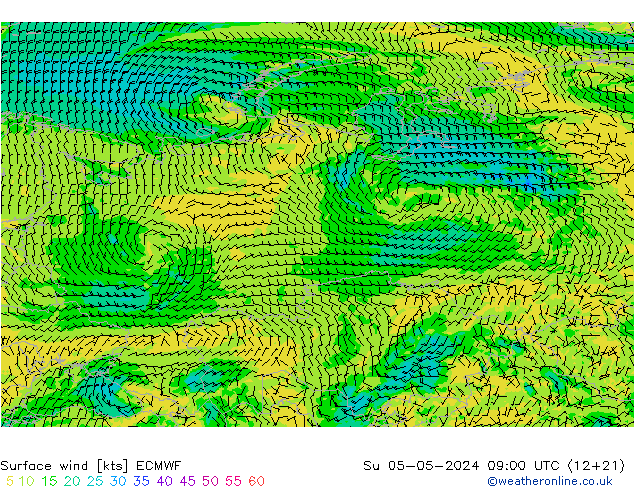 Vent 10 m ECMWF dim 05.05.2024 09 UTC