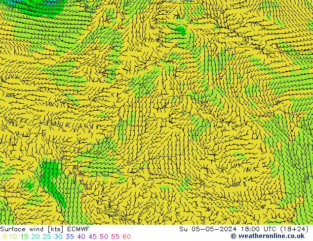 Surface wind ECMWF Ne 05.05.2024 18 UTC
