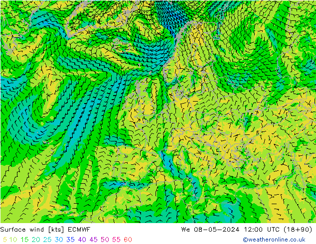 Surface wind ECMWF We 08.05.2024 12 UTC