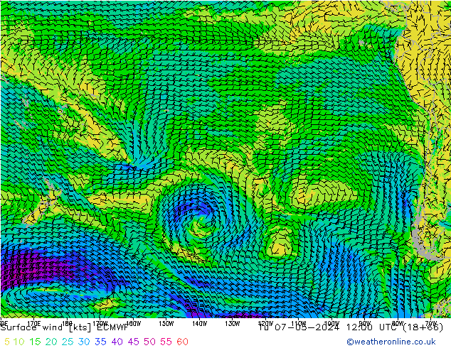  10 m ECMWF  07.05.2024 12 UTC