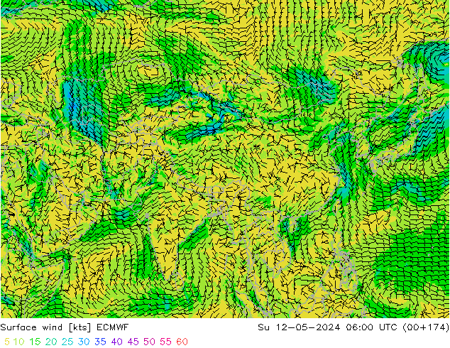 Vent 10 m ECMWF dim 12.05.2024 06 UTC