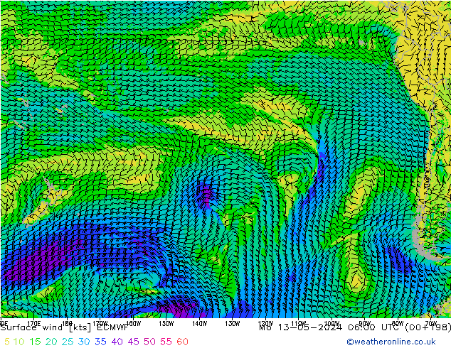 Wind 10 m ECMWF ma 13.05.2024 06 UTC