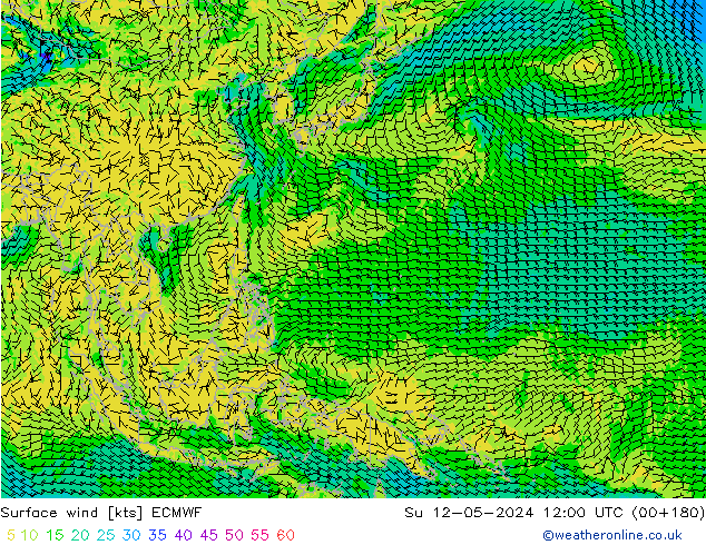 Prec 6h/Wind 10m/950 ECMWF Su 12.05.2024 12 UTC