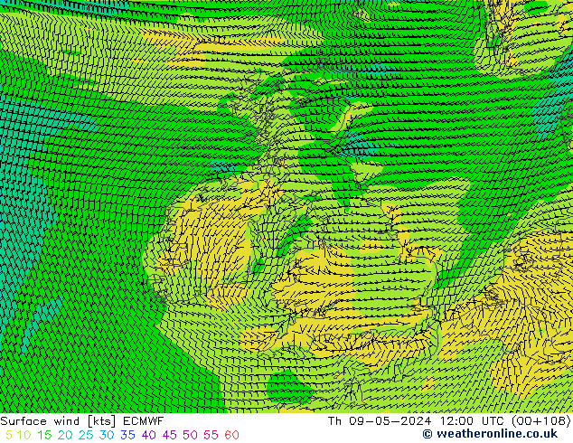 ветер 10 m ECMWF чт 09.05.2024 12 UTC