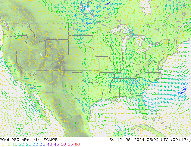 Rüzgar 950 hPa ECMWF Paz 12.05.2024 06 UTC