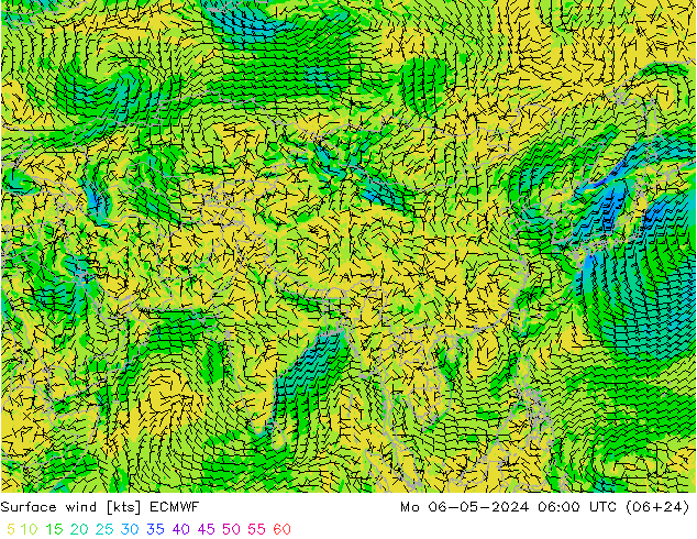 ветер 10 m ECMWF пн 06.05.2024 06 UTC