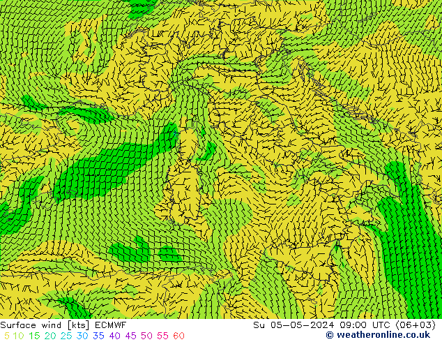  nie. 05.05.2024 09 UTC