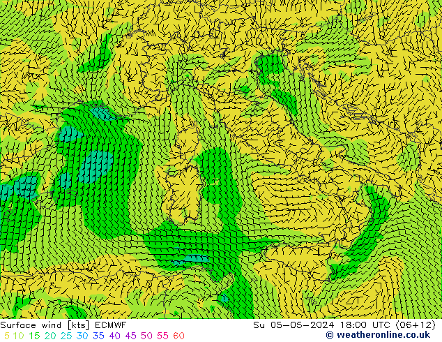  nie. 05.05.2024 18 UTC