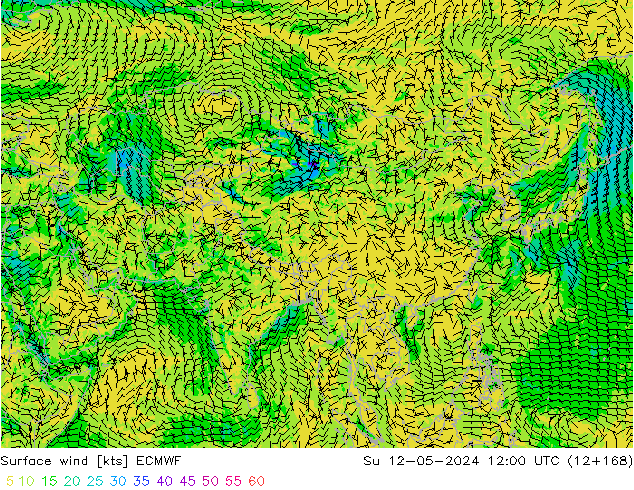 Surface wind ECMWF Su 12.05.2024 12 UTC