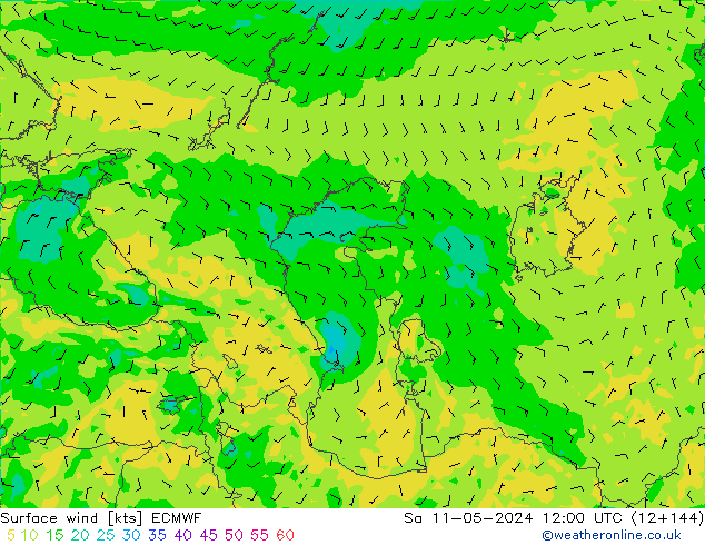 Surface wind ECMWF Sa 11.05.2024 12 UTC