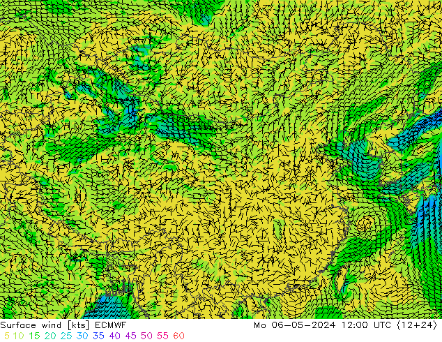 风 10 米 ECMWF 星期一 06.05.2024 12 UTC