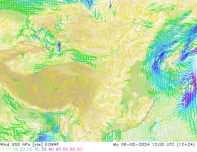 风 950 hPa ECMWF 星期一 06.05.2024 12 UTC