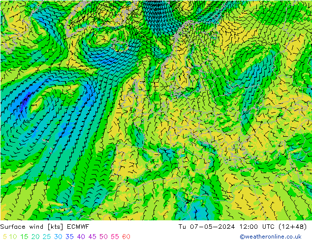 Surface wind ECMWF Tu 07.05.2024 12 UTC