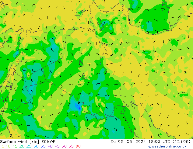 Bodenwind ECMWF So 05.05.2024 18 UTC