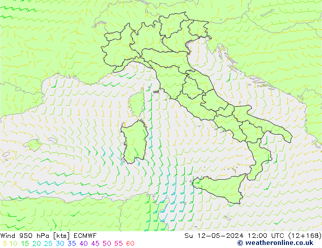 Vento 950 hPa ECMWF Dom 12.05.2024 12 UTC