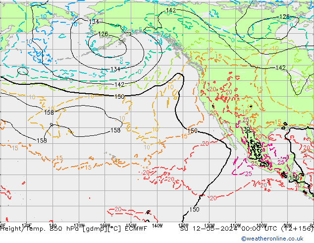 Z500/Rain (+SLP)/Z850 ECMWF Su 12.05.2024 00 UTC