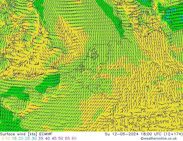 ветер 10 m ECMWF Вс 12.05.2024 18 UTC