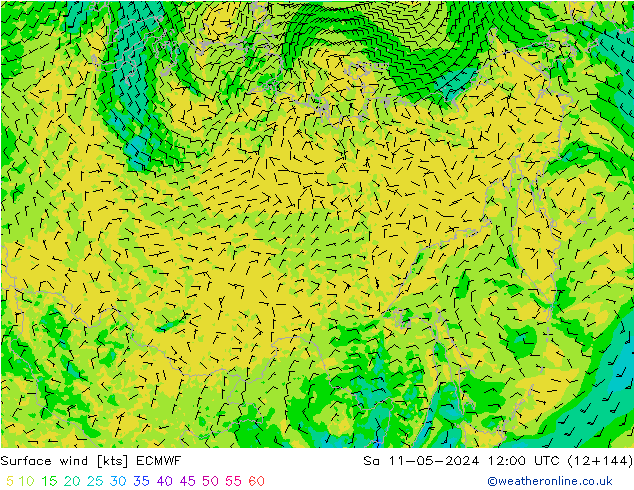  10 m ECMWF  11.05.2024 12 UTC