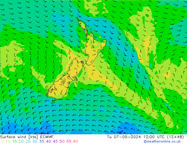 Surface wind ECMWF Tu 07.05.2024 12 UTC