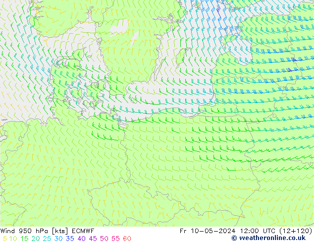 Wind 950 hPa ECMWF Fr 10.05.2024 12 UTC