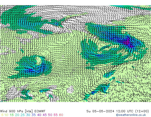 Wind 900 hPa ECMWF So 05.05.2024 12 UTC