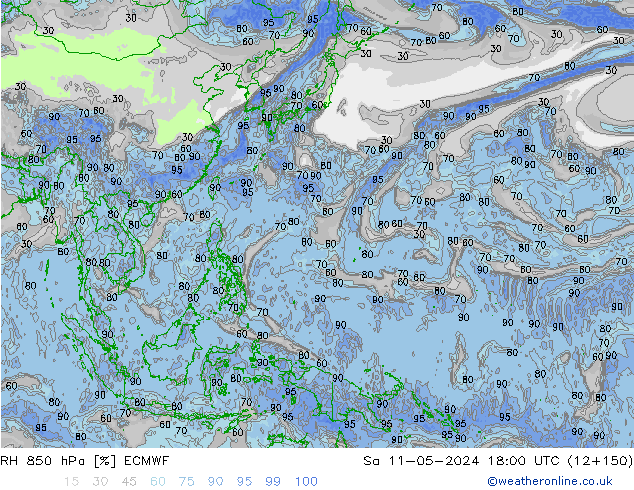 RH 850 гПа ECMWF сб 11.05.2024 18 UTC