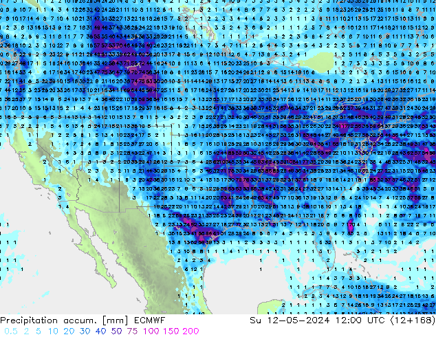 Precipitation accum. ECMWF Dom 12.05.2024 12 UTC