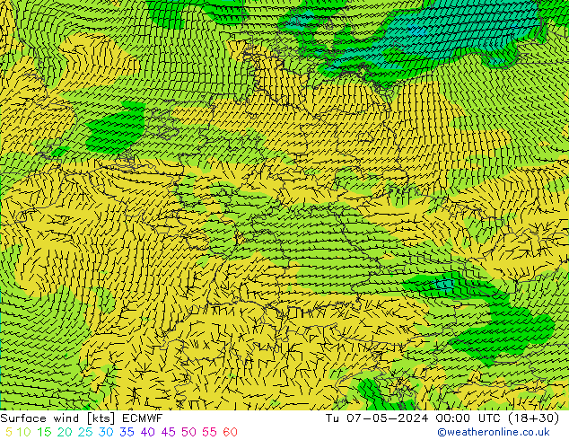 Surface wind ECMWF Tu 07.05.2024 00 UTC