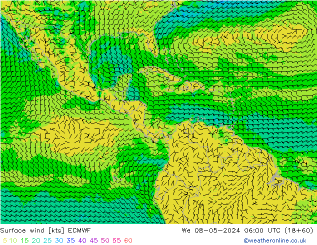 Surface wind ECMWF We 08.05.2024 06 UTC