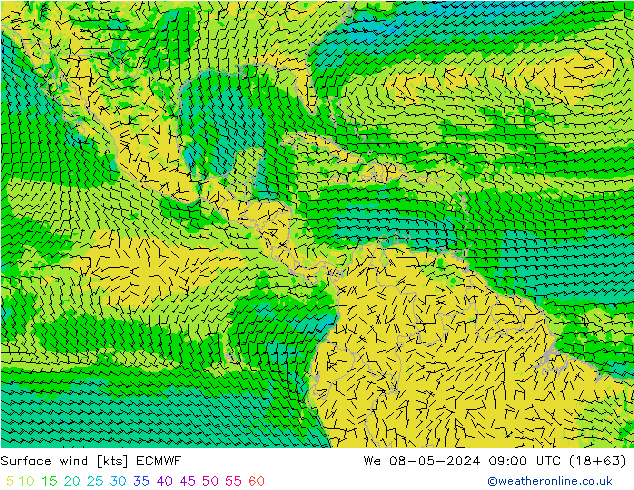 Wind 10 m ECMWF wo 08.05.2024 09 UTC