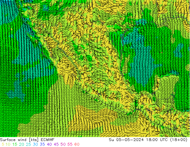 Viento 10 m ECMWF dom 05.05.2024 18 UTC