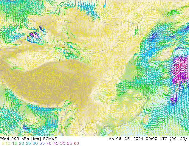 风 900 hPa ECMWF 星期一 06.05.2024 00 UTC