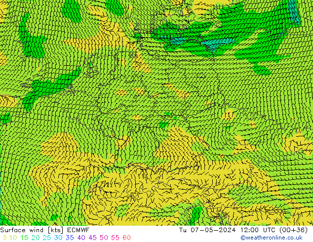 Surface wind ECMWF Tu 07.05.2024 12 UTC